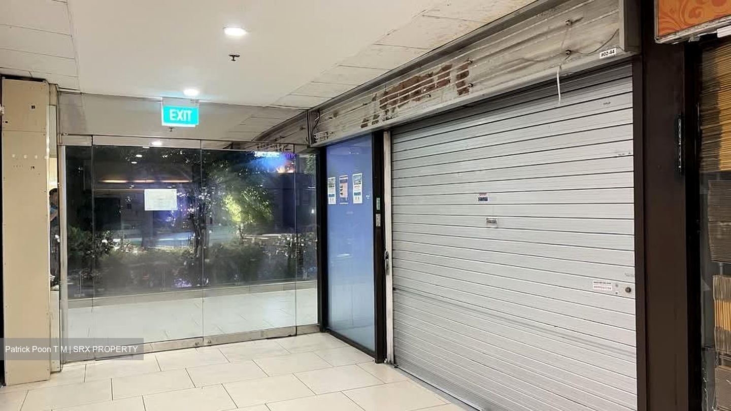 Lucky Plaza (D9), Shop House #545849731
